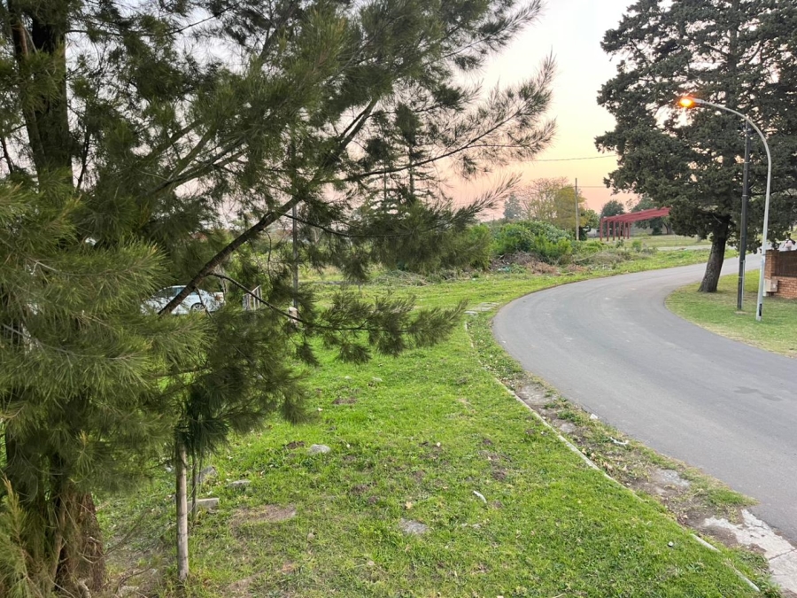 0 Bedroom Property for Sale in Berlin Eastern Cape